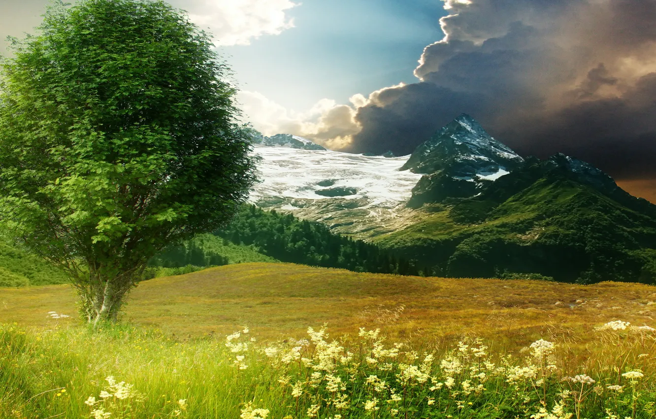 Photo wallpaper field, summer, the sky, grass, trees, mountains, nature