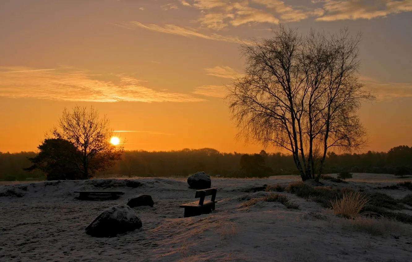 Photo wallpaper winter, the sun, sunset, bench, tree