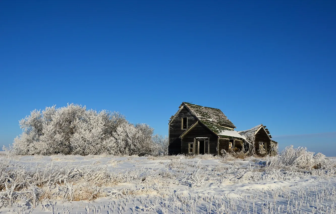 Photo wallpaper winter, field, landscape, home