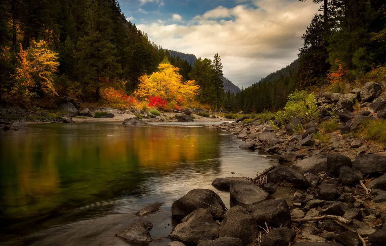 Photo wallpaper autumn, forest, river, stones, hills, Doug Shearer