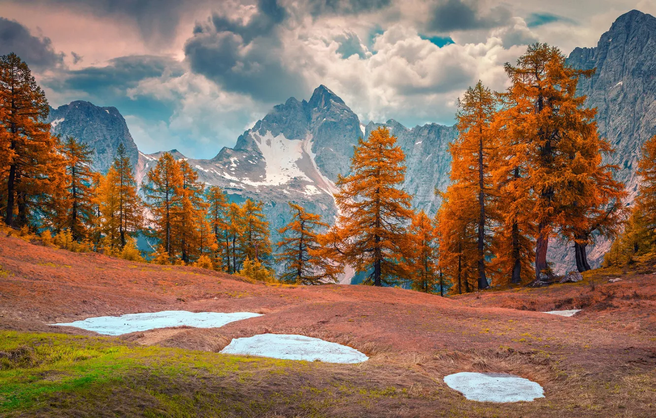 Photo wallpaper autumn, forest, the sky, clouds, snow, trees, mountains, rocks