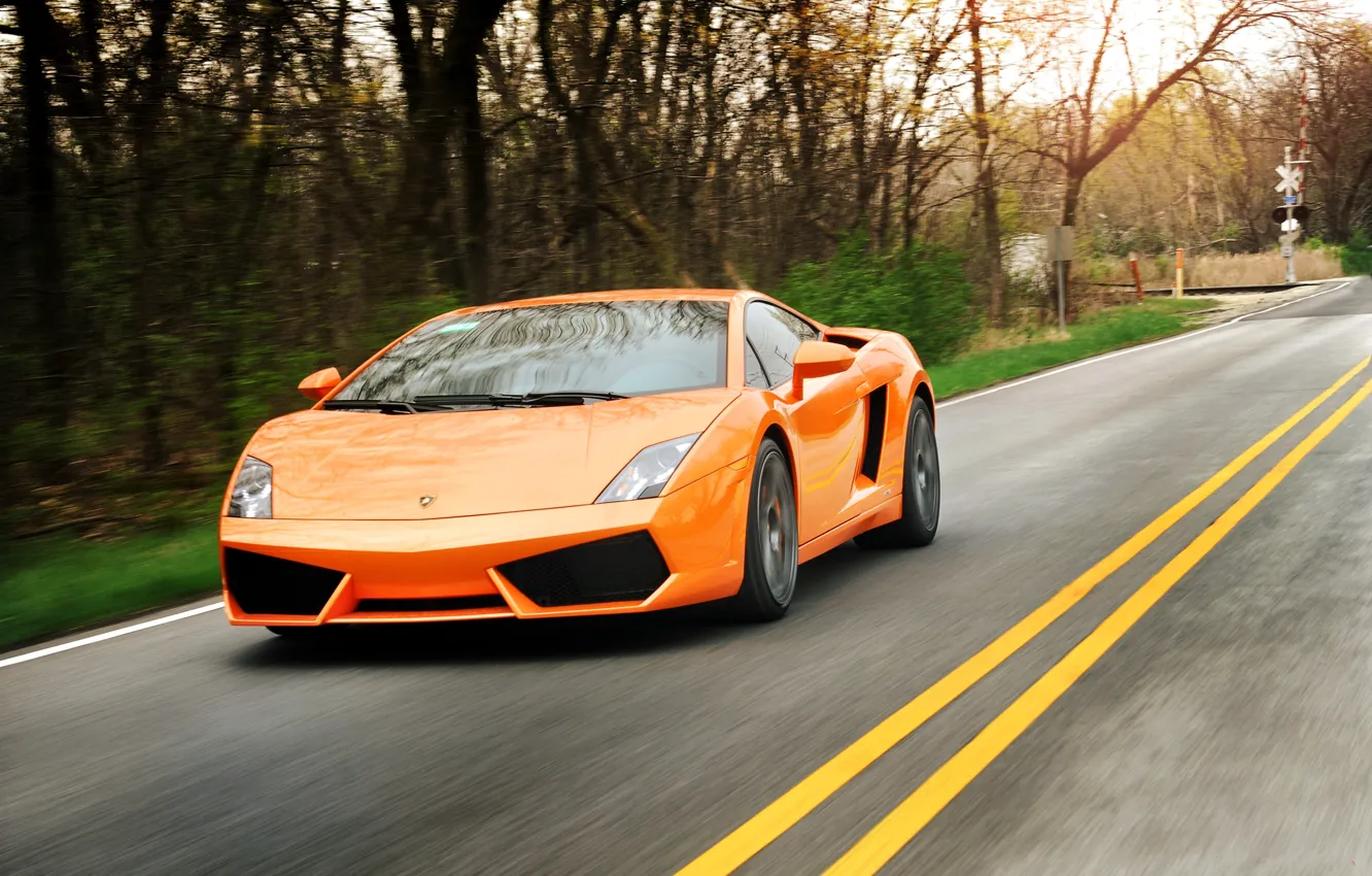 Photo wallpaper road, trees, orange, markup, gallardo, lamborghini, trees, orange