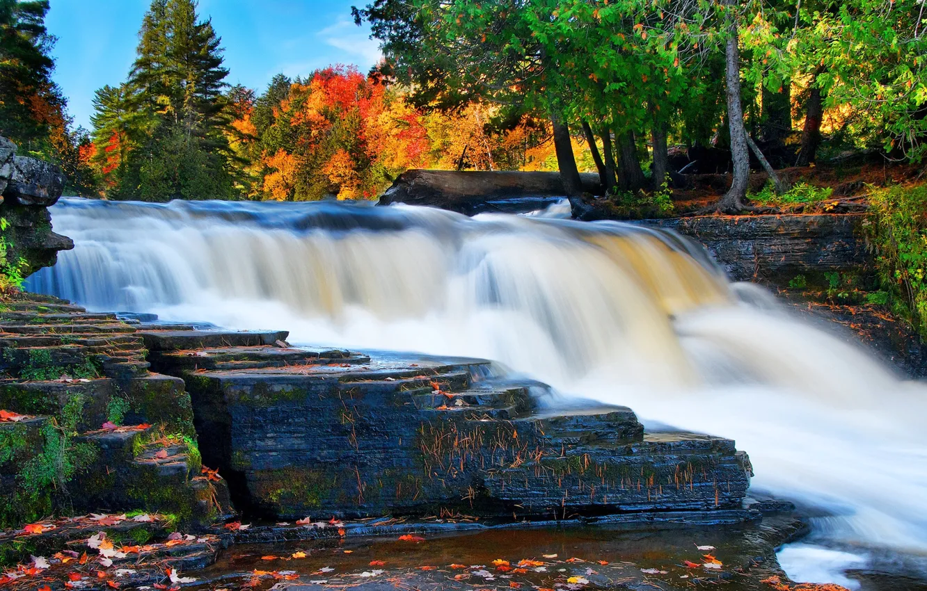 Photo wallpaper autumn, forest, the sky, trees, river, rocks, thresholds