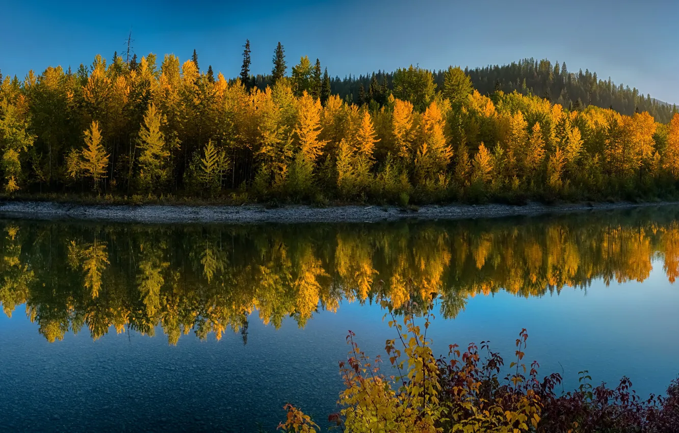 Photo wallpaper autumn, forest, water, the sun, trees, mountains, yellow, reflection