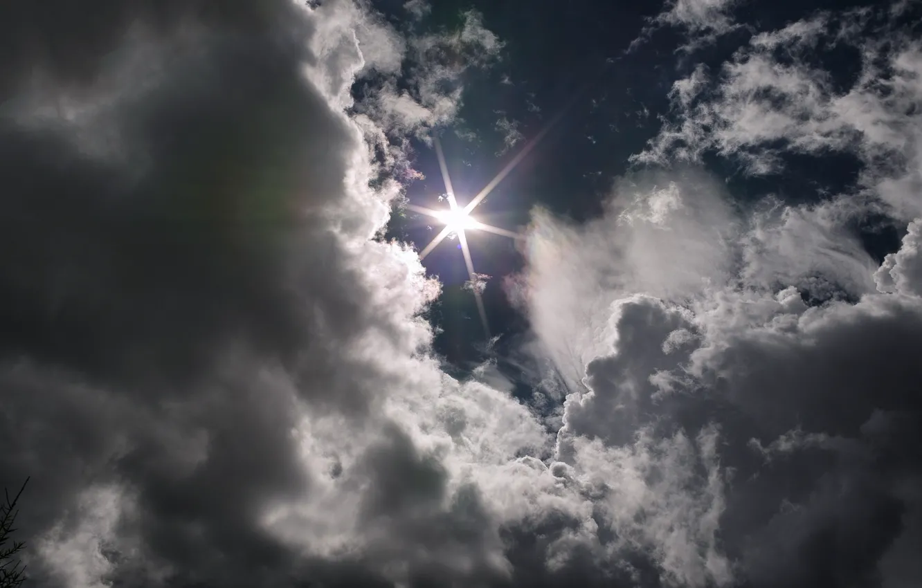 Photo wallpaper summer, sunshine, sky, cloud, sun, glare, sunny