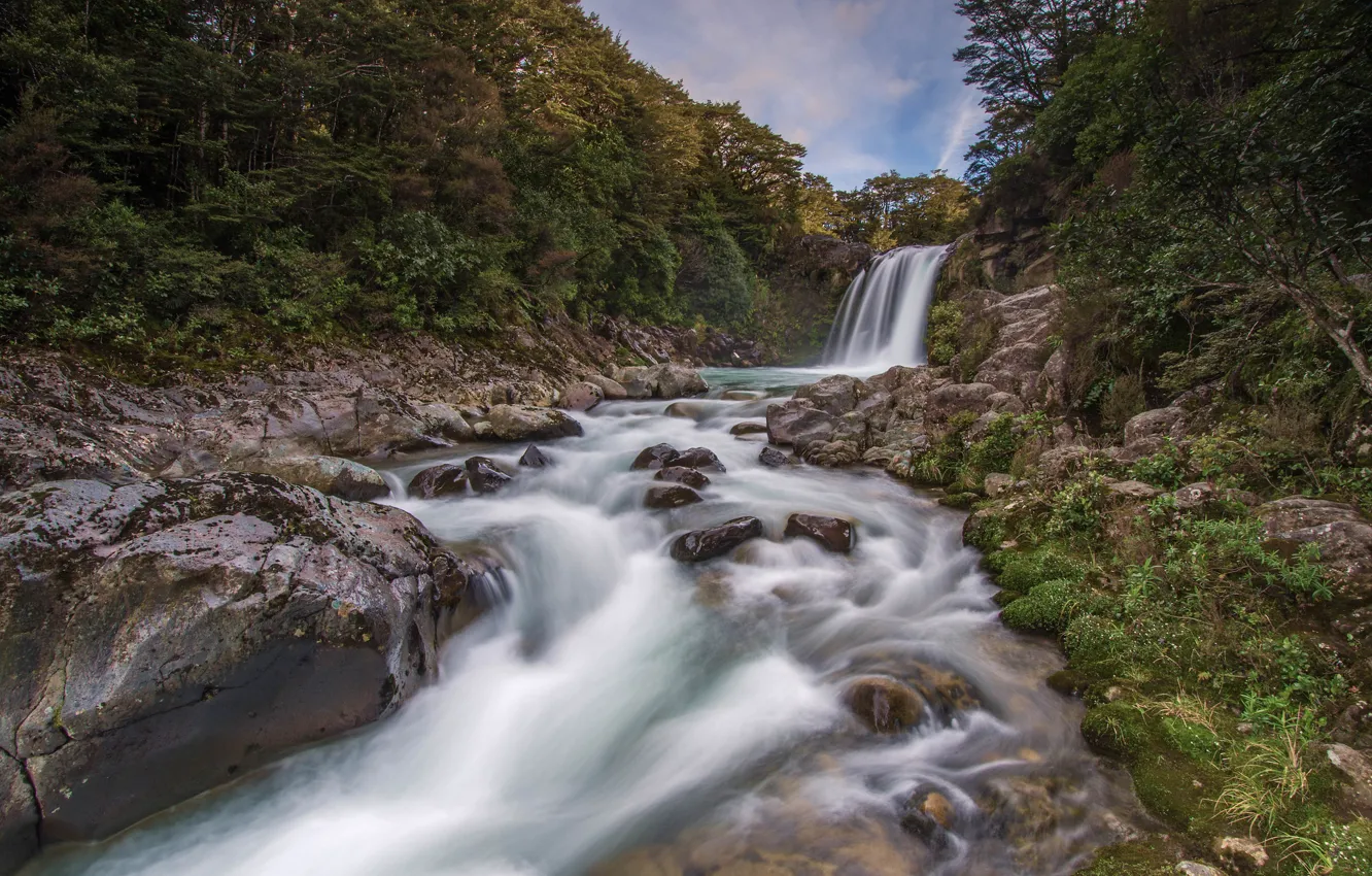 Photo wallpaper forest, river, stones, waterfall, New Zealand, New Zealand, Tawhai Falls