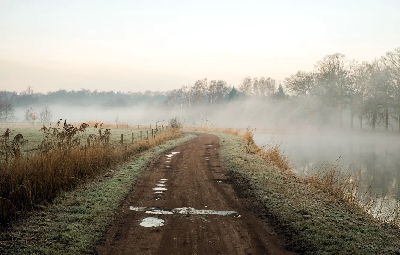 Photo wallpaper road, landscape, nature, fog, river, morning