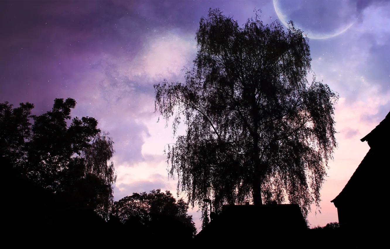 Photo wallpaper the sky, trees, landscape, night, house, background, tree, the moon