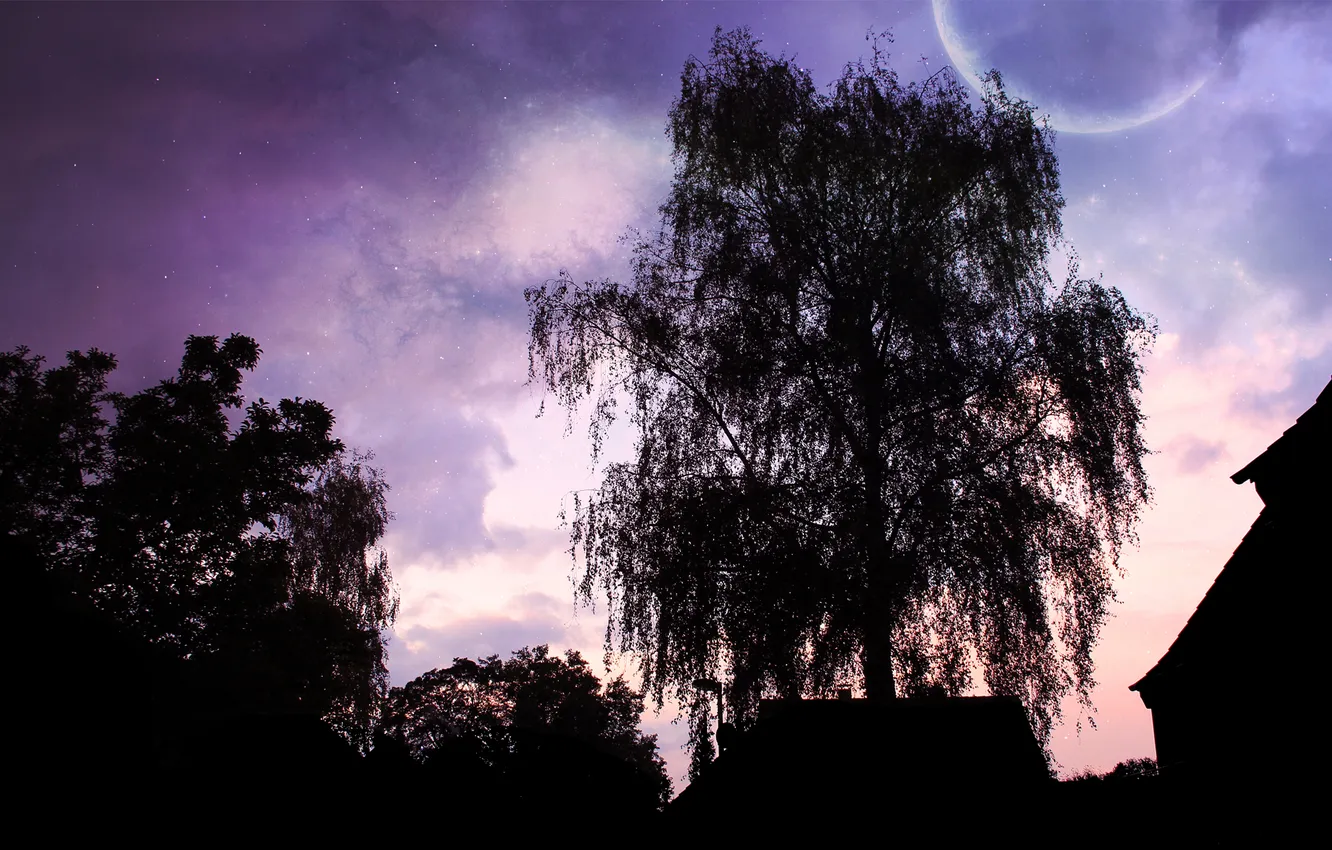 Photo wallpaper the sky, trees, landscape, night, background, the moon, home, shadow