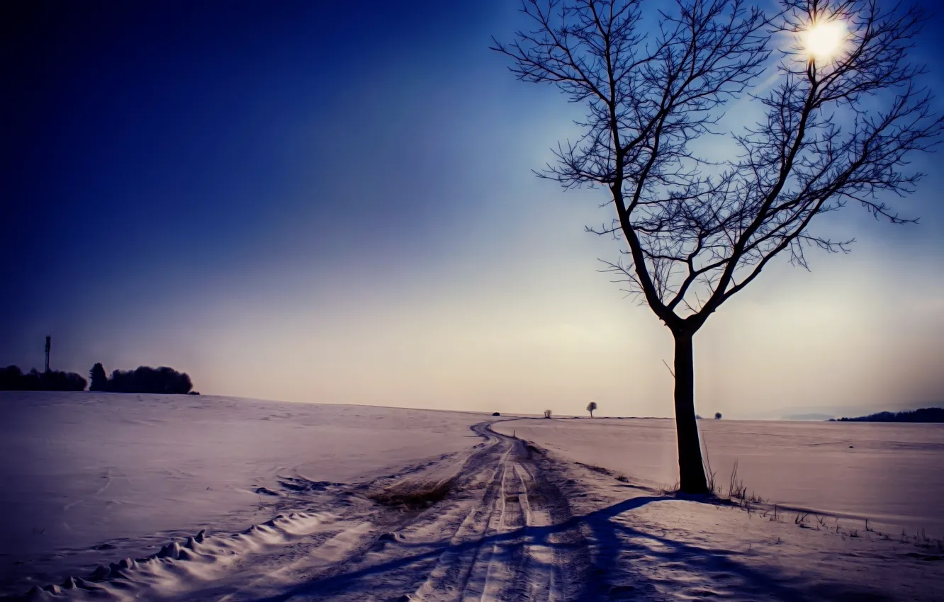Photo wallpaper winter, road, snow, trees, landscape