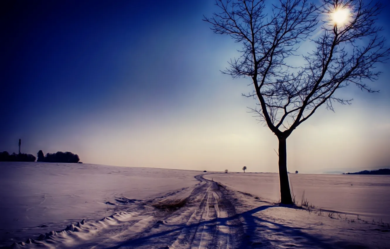 Photo wallpaper winter, road, snow, landscape, tree