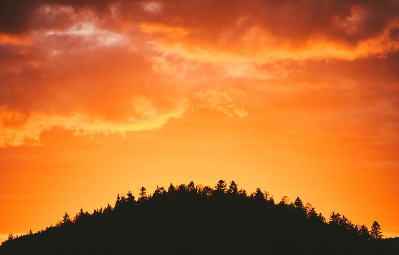 Photo wallpaper Canada, landscape, nature, dusk, outdoors, Saint John, Happy Little Trees, New Brunswick