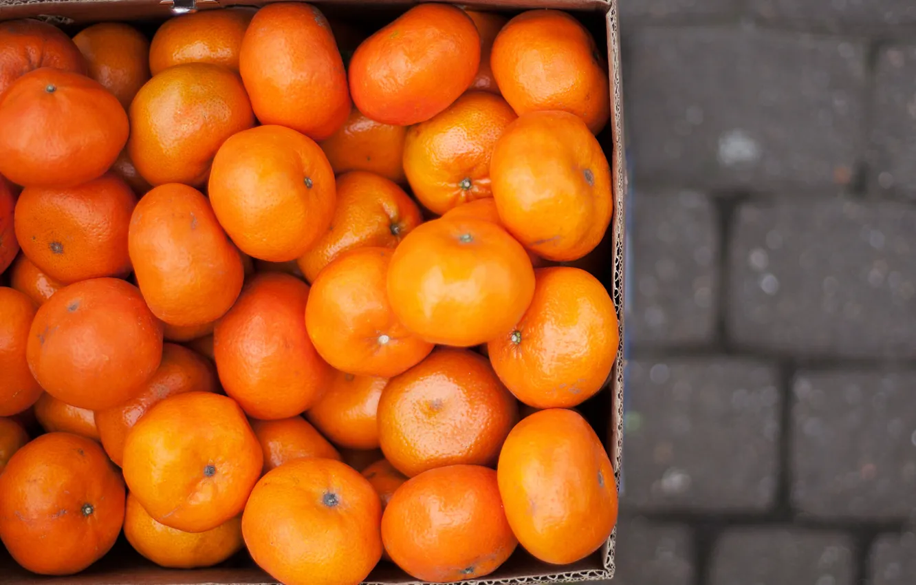 Photo wallpaper fruit, orange, tangerines