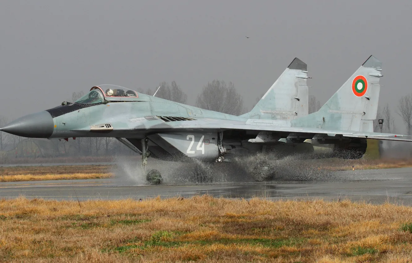 Photo wallpaper fighter, multipurpose, MiG-29, The MiG-29
