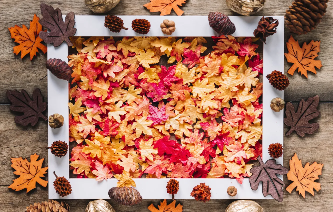 Photo wallpaper autumn, leaves, background, tree, Board, colorful, nuts, maple
