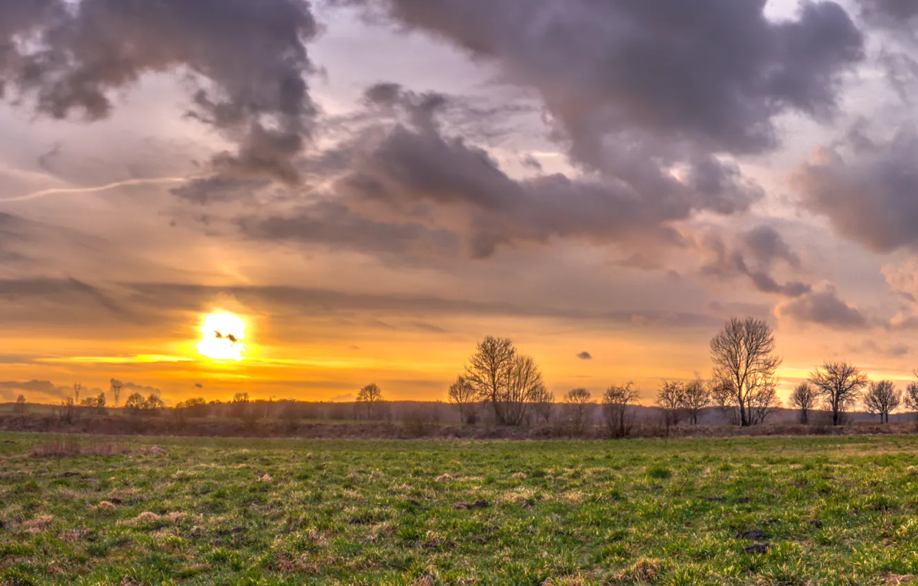 Photo wallpaper field, the sky, clouds, sunset, sky, field, sunset, clouds