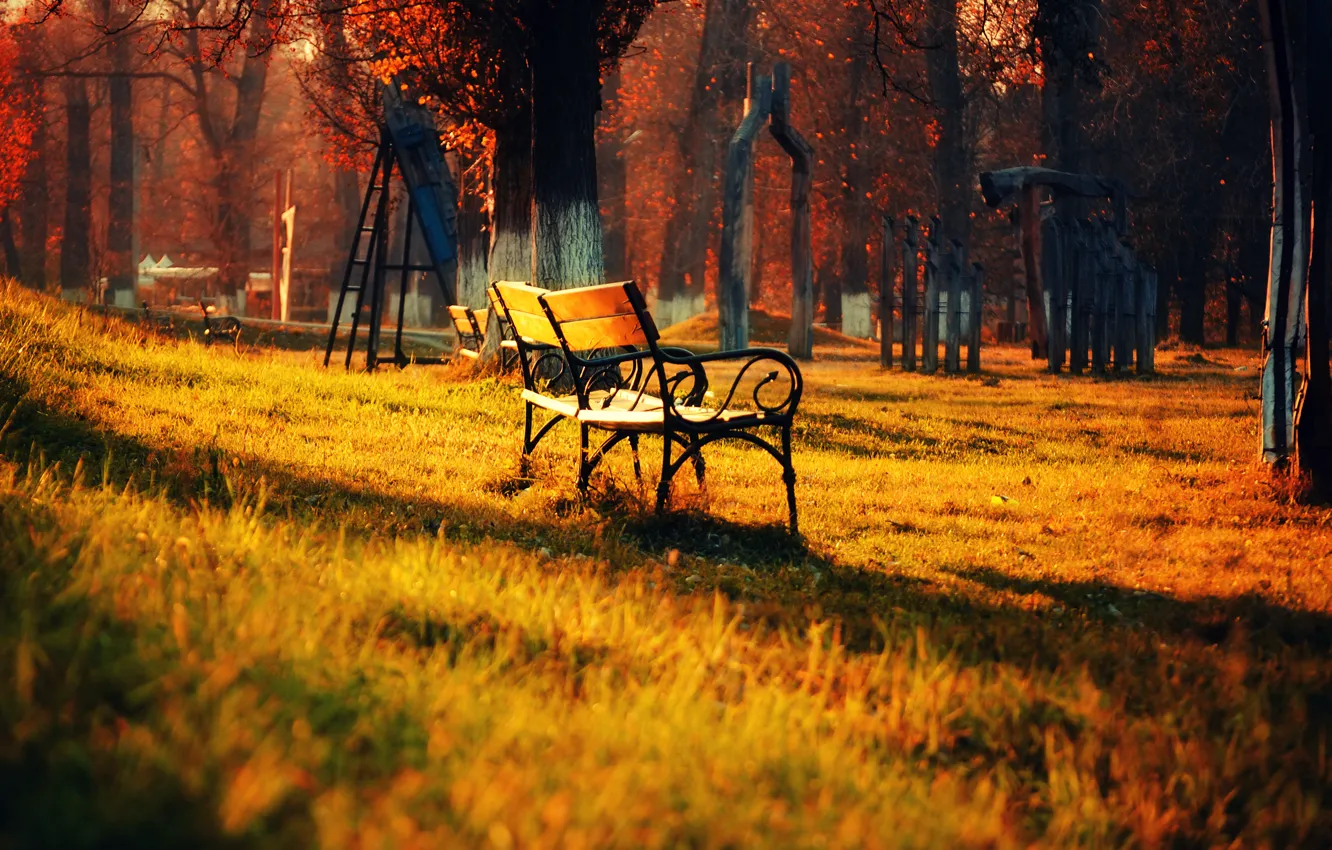 Photo wallpaper autumn, grass, leaves, light, trees, landscape, bench, nature