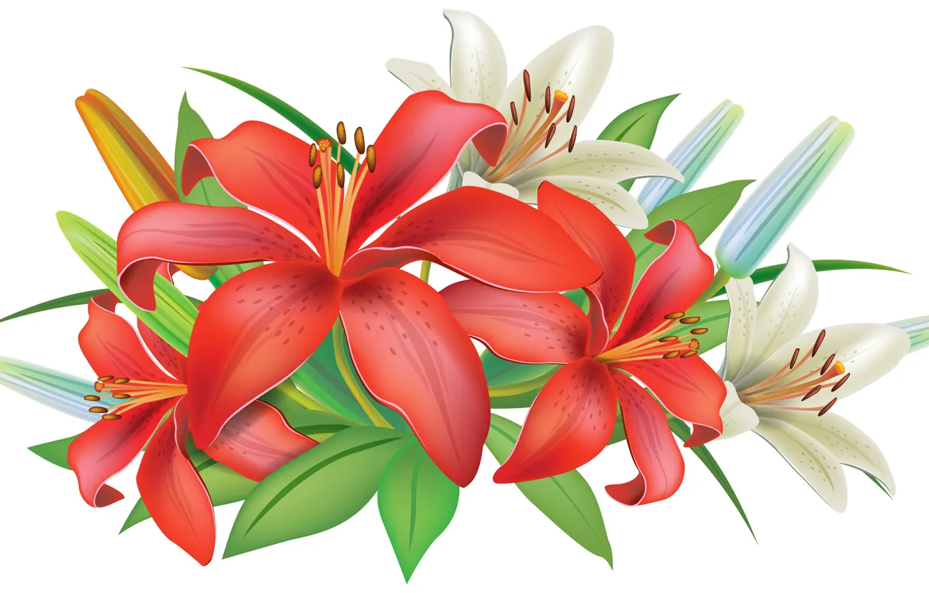 Photo wallpaper Lily, red, orange, vector graphics