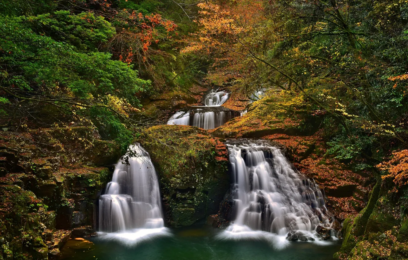 Photo wallpaper autumn, forest, trees, Japan, Japan, waterfalls, cascade, Nabari