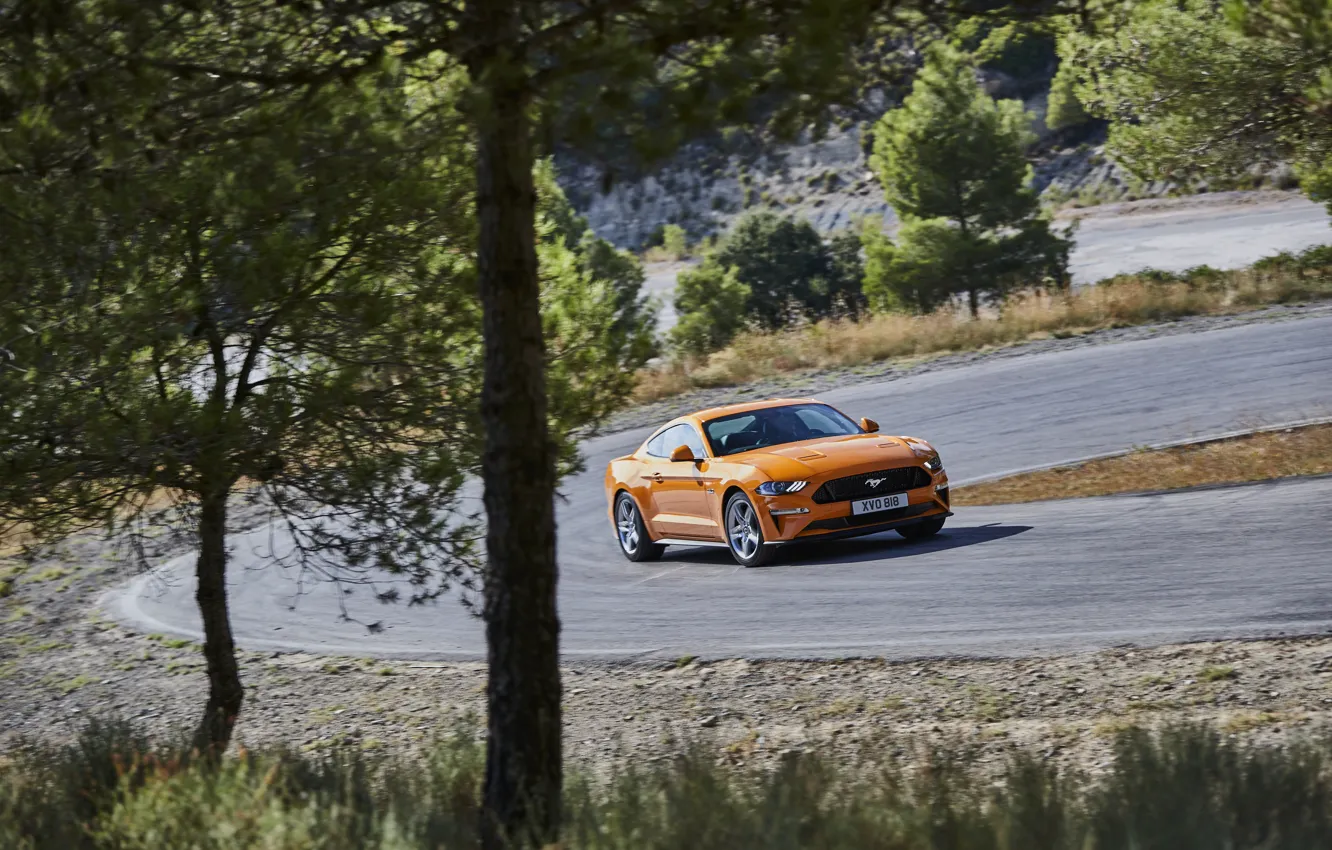 Photo wallpaper trees, orange, Ford, turn, 2018, fastback, Mustang GT 5.0