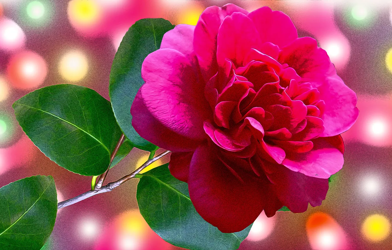 Photo wallpaper Graphics, Rose, Flower