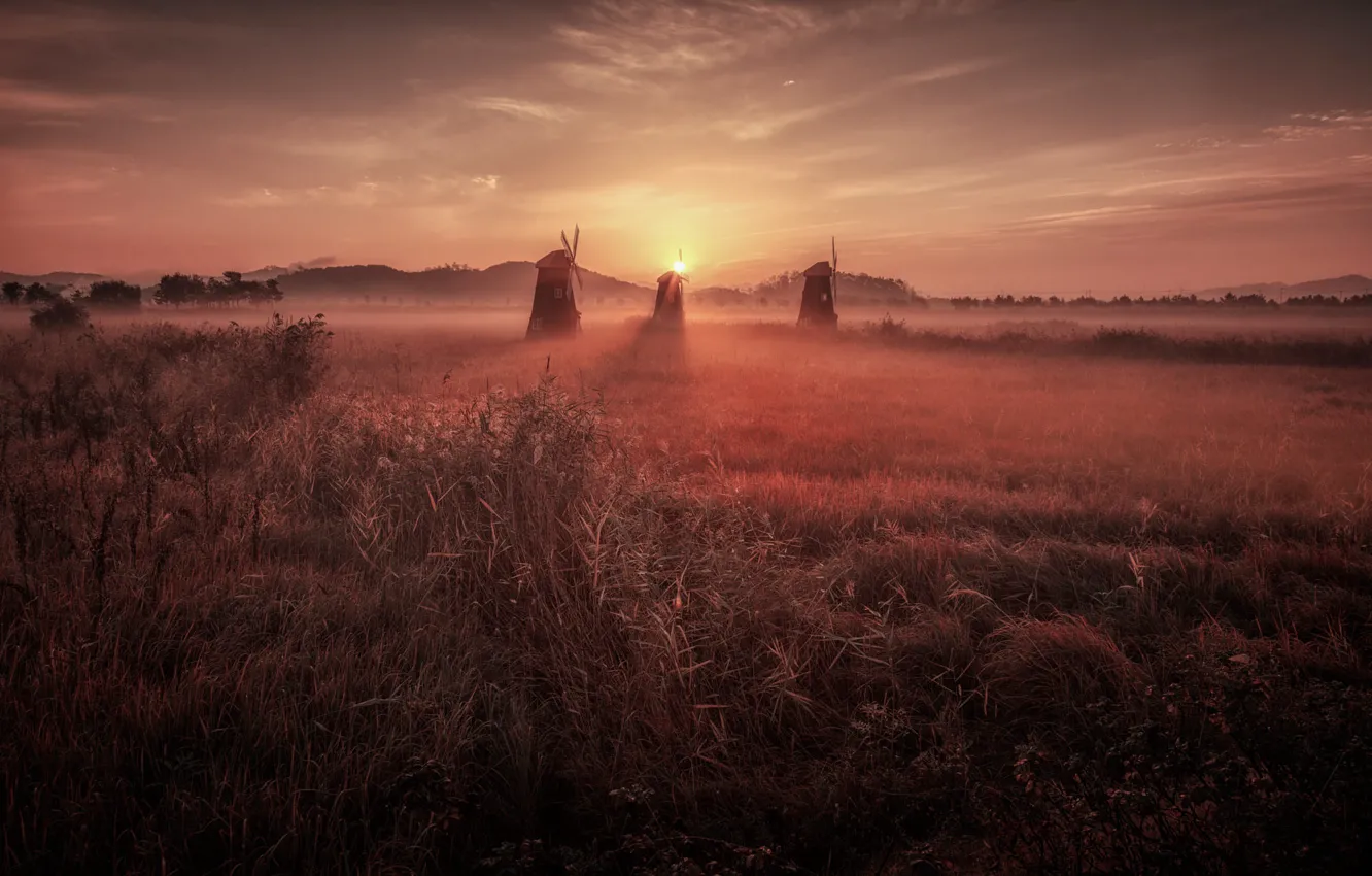 Photo wallpaper field, the sky, grass, the sun, clouds, light, landscape, nature