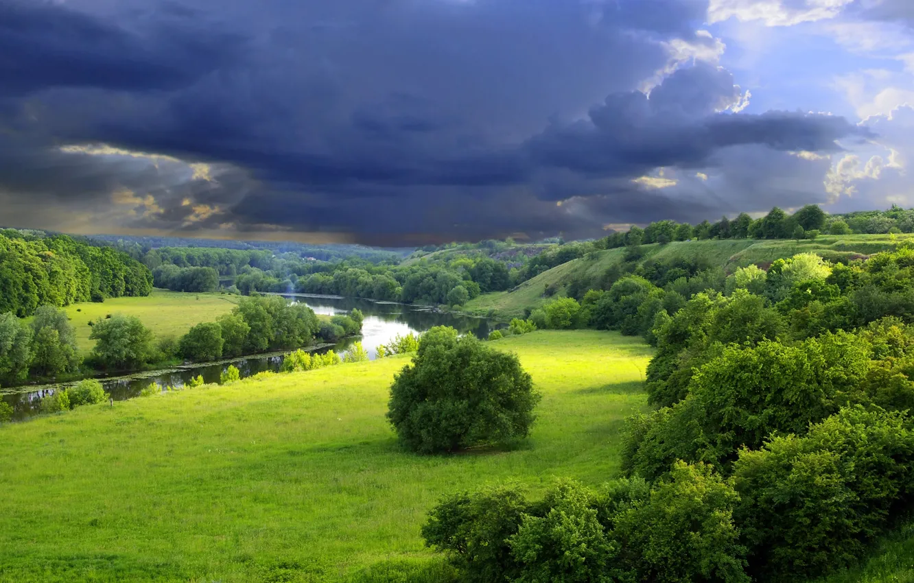 Photo wallpaper greens, summer, trees, nature, river, the bushes