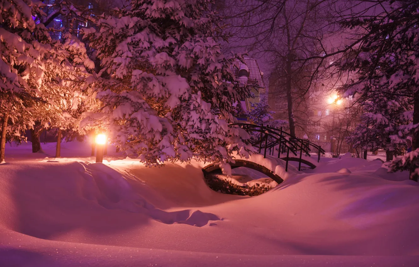 Photo wallpaper winter, snow, trees, nature, Park, the evening, lighting, lights