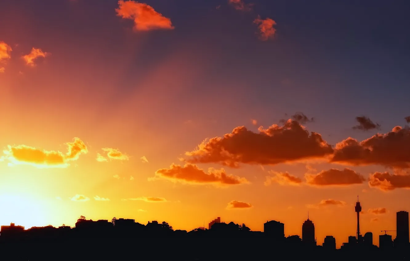 Photo wallpaper the sky, the sun, sunset, nature