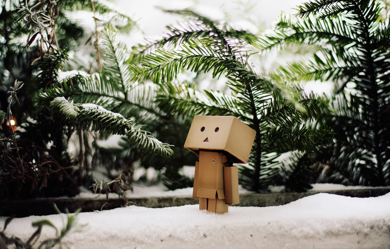 Photo wallpaper winter, snow, branch, tree, danbo, danbo