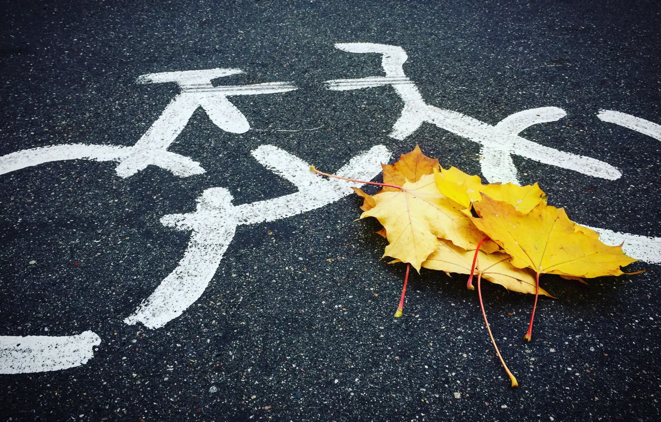 Photo wallpaper autumn, nature, nature, cityscape, AristovArt