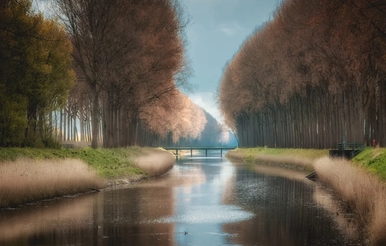 Photo wallpaper nature, the city, Damme Canal