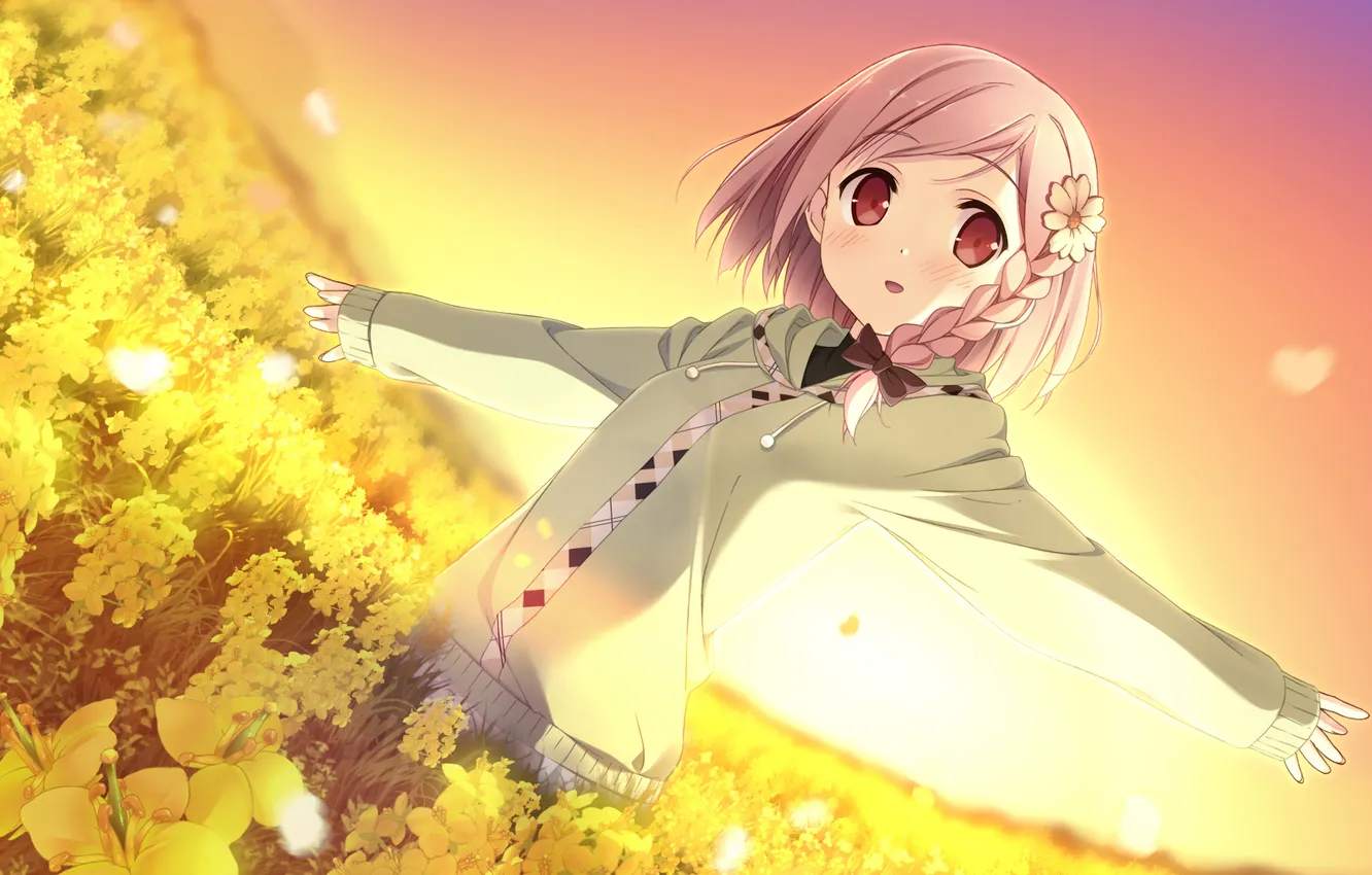 Photo wallpaper field, look, girl, sunset, braids