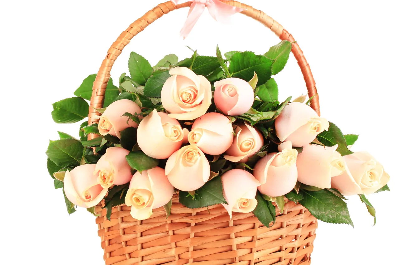 Photo wallpaper basket, roses, buds