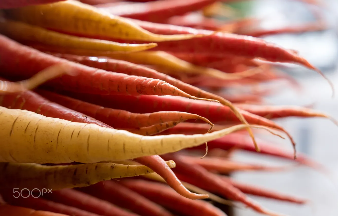 Photo wallpaper macro, food, focus, carrot