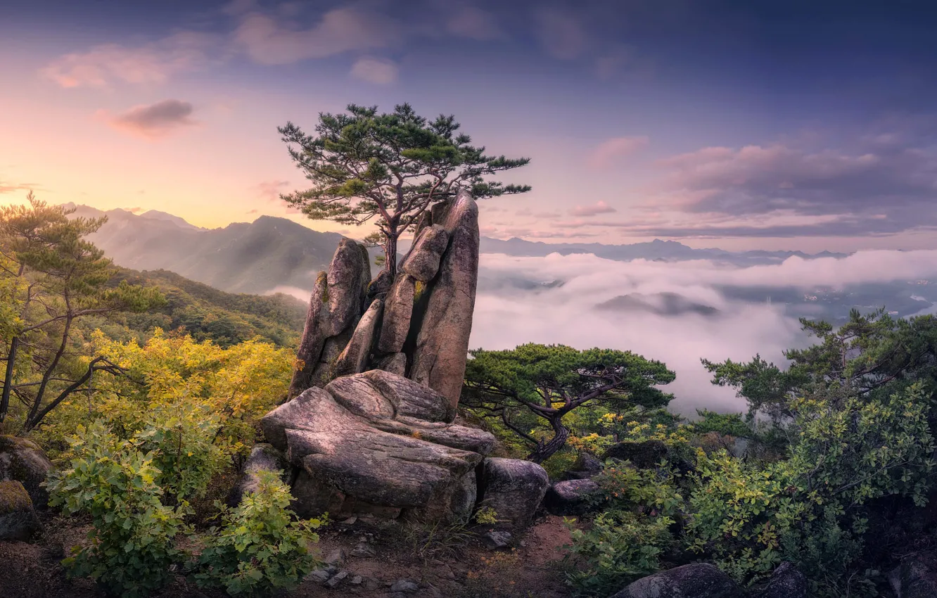Photo wallpaper the sky, clouds, mountains, tree, rocks, view, height, haze