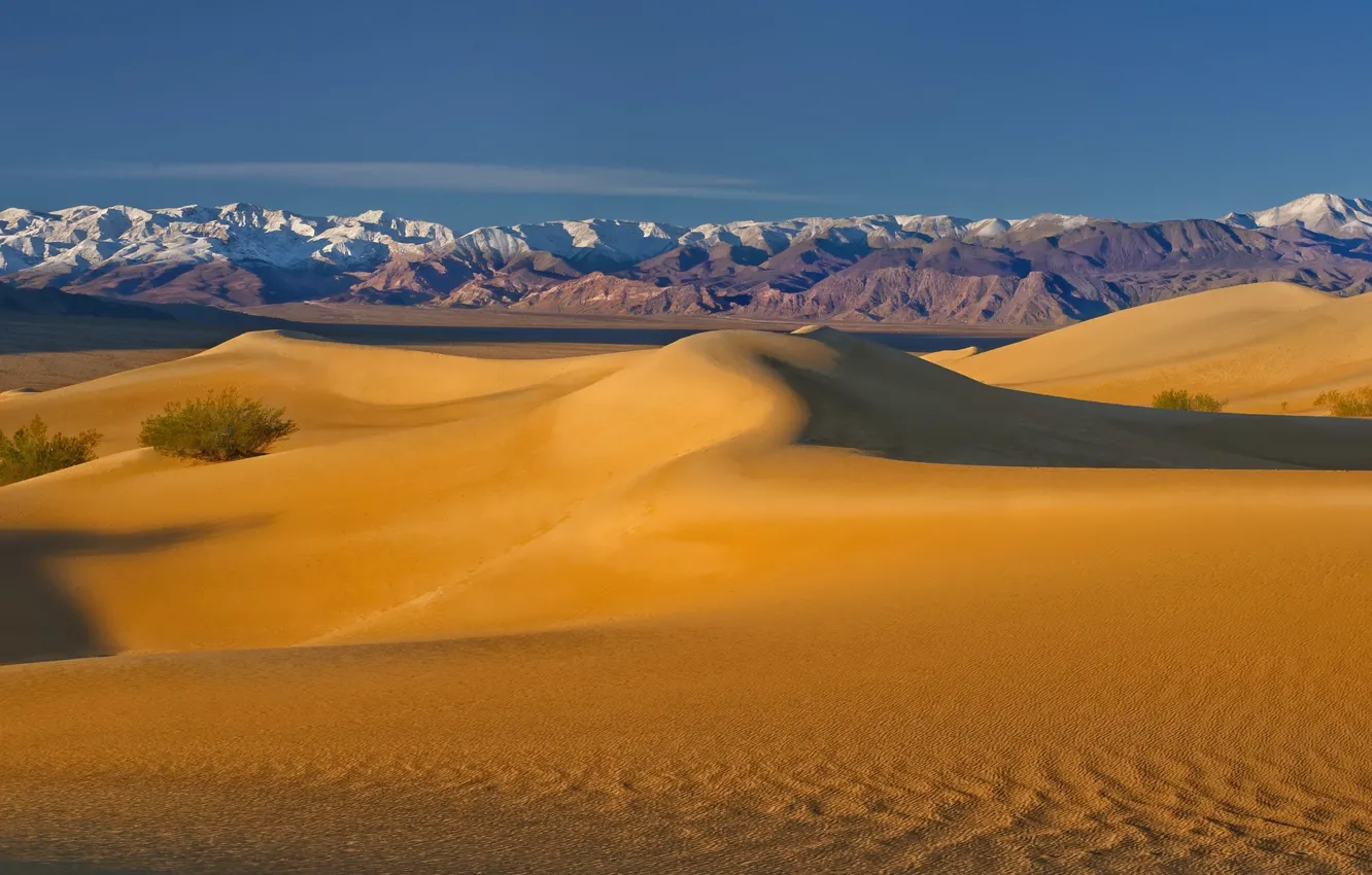 Photo wallpaper desert, dunes, CA, USA