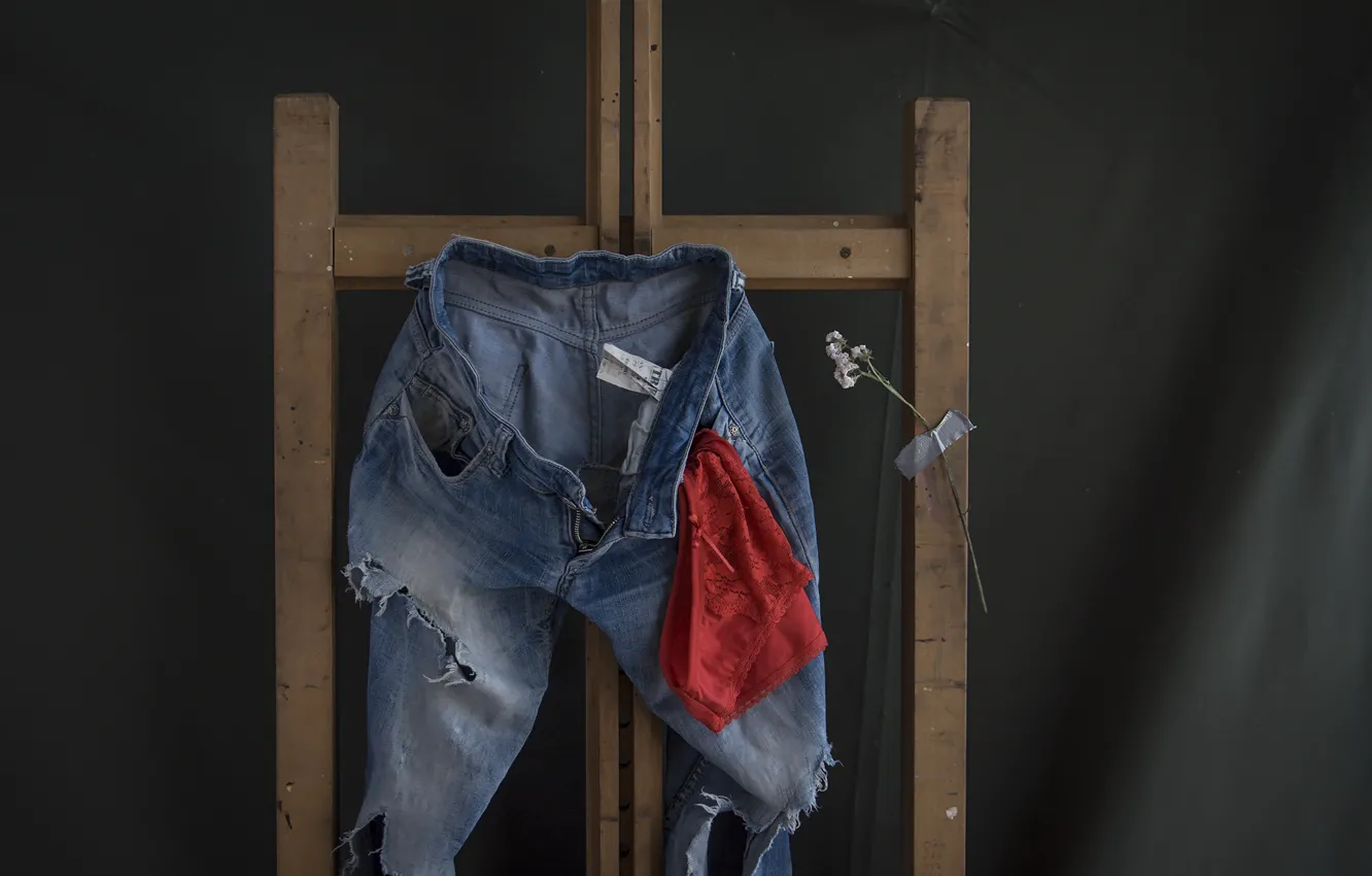 Photo wallpaper girl, jeans, easel, red panties