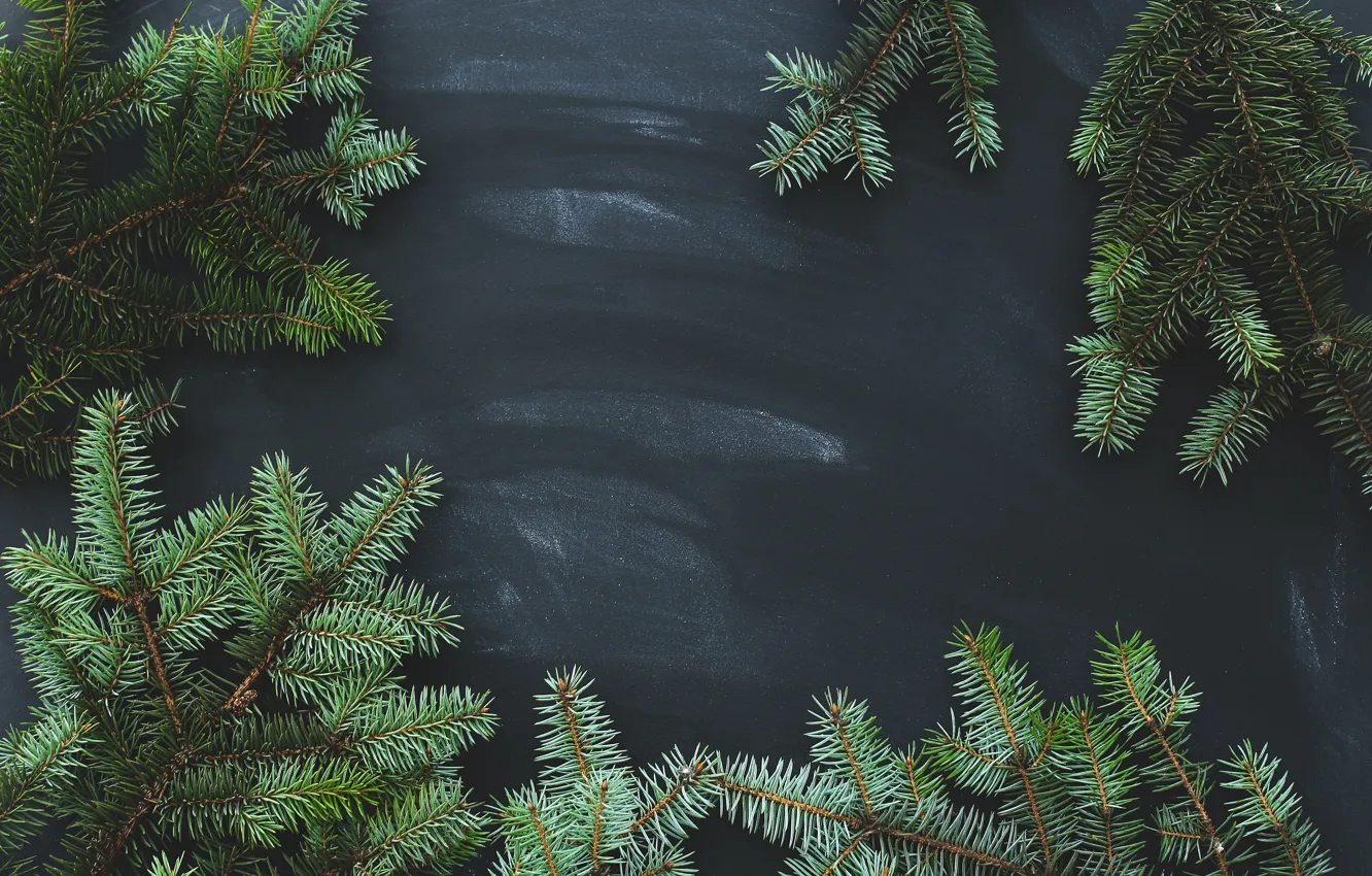 Photo wallpaper branches, traces, the dark background, Board, new year, divorce, texture, Christmas