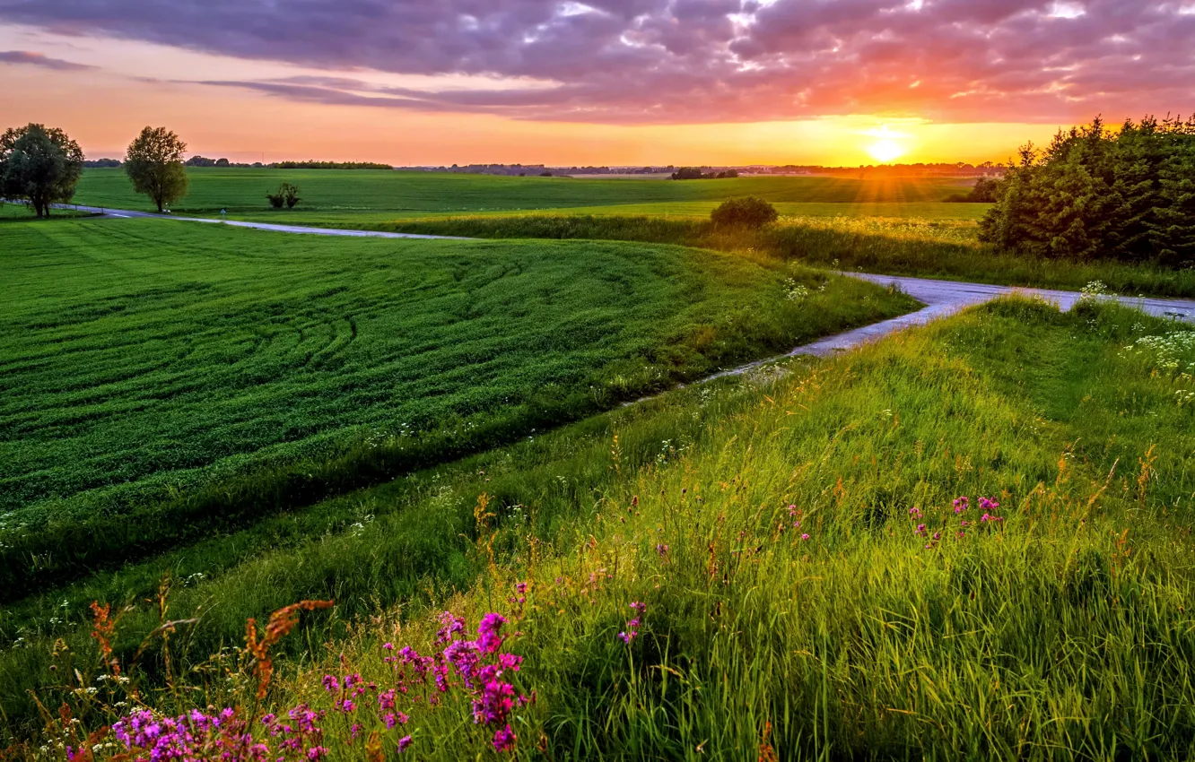 Photo wallpaper field, the sky, grass, the sun, sunset, clouds, the evening, meadow