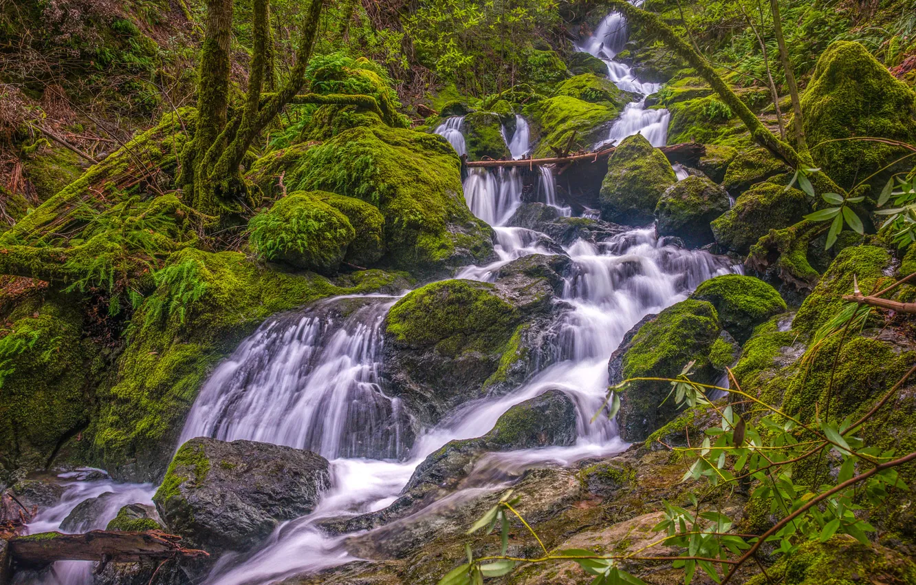 Photo wallpaper nature, river, stones, waterfall, moss