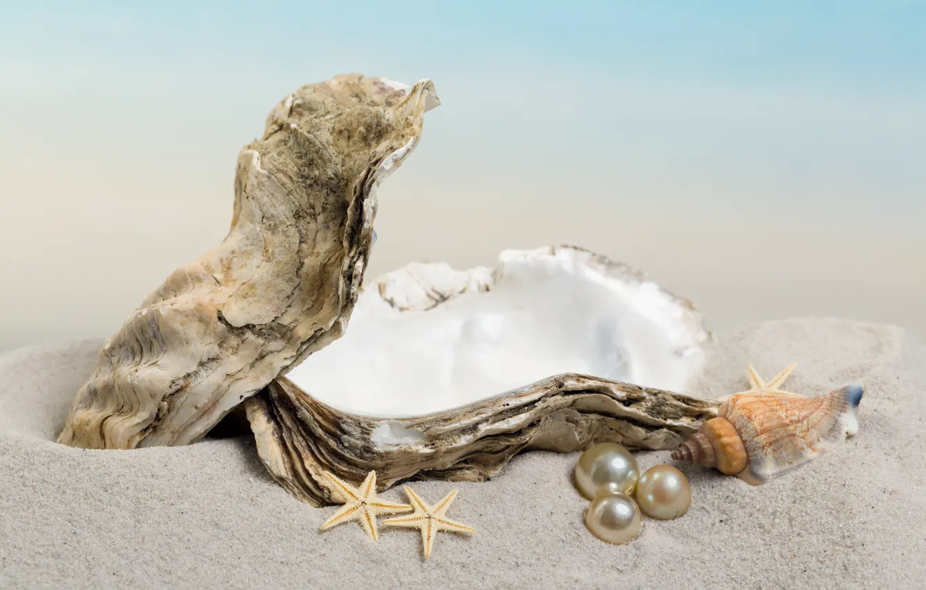Photo wallpaper sand, shell, pearl, starfish, sunshine, beach, sea, sand