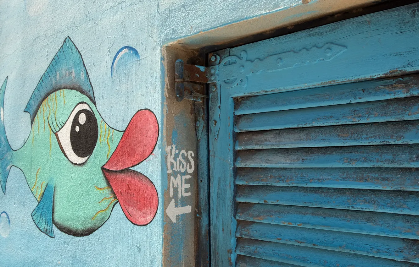 Photo wallpaper background, wall, window