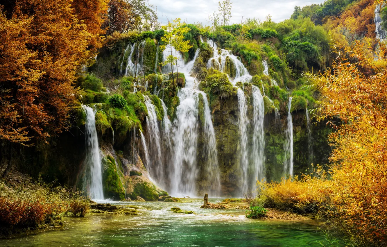 Photo wallpaper trees, waterfall, Croatia, Plitvice lakes