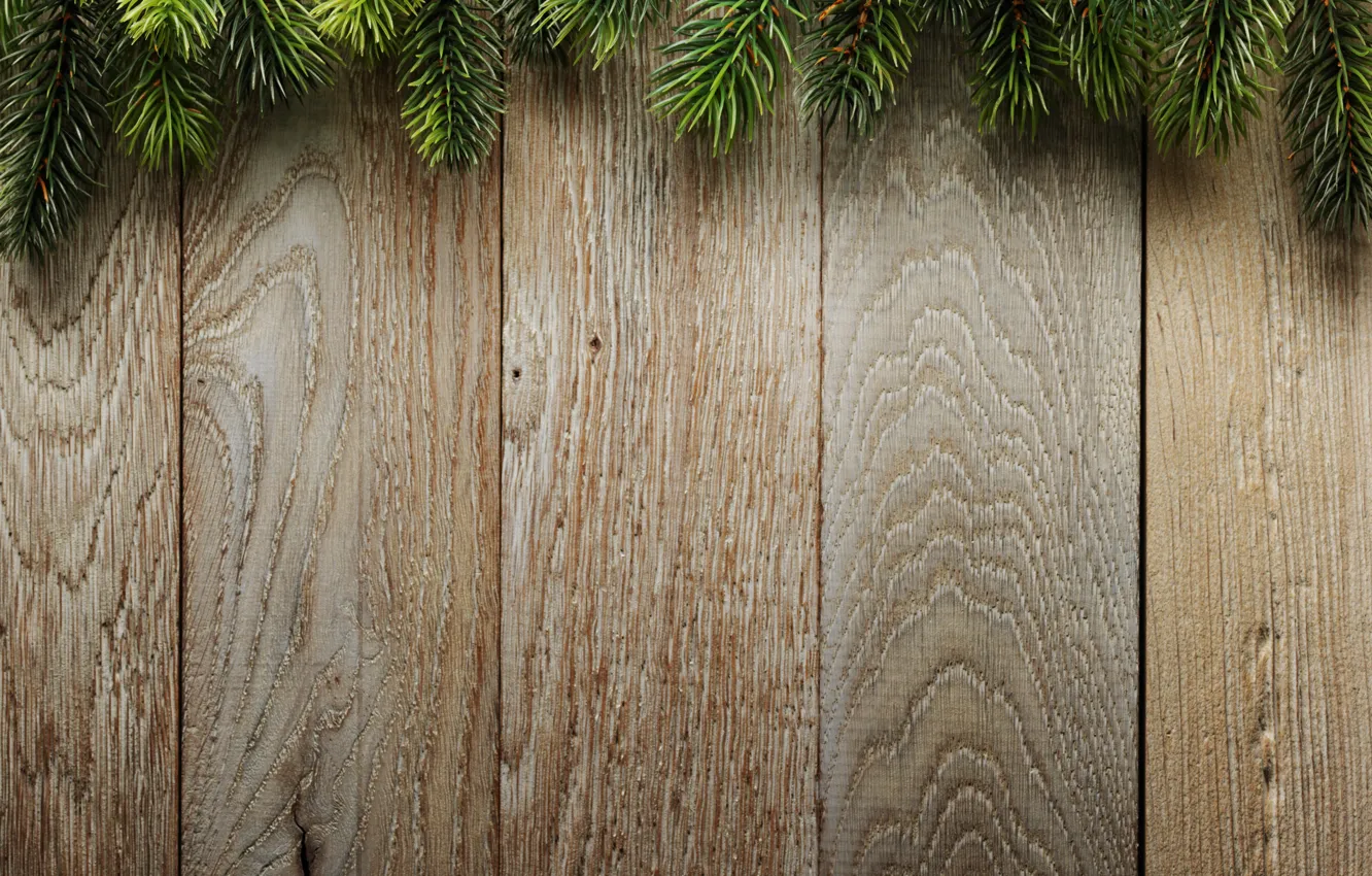 Photo wallpaper branches, background, Board, tree, Christmas, wood, background, spruce