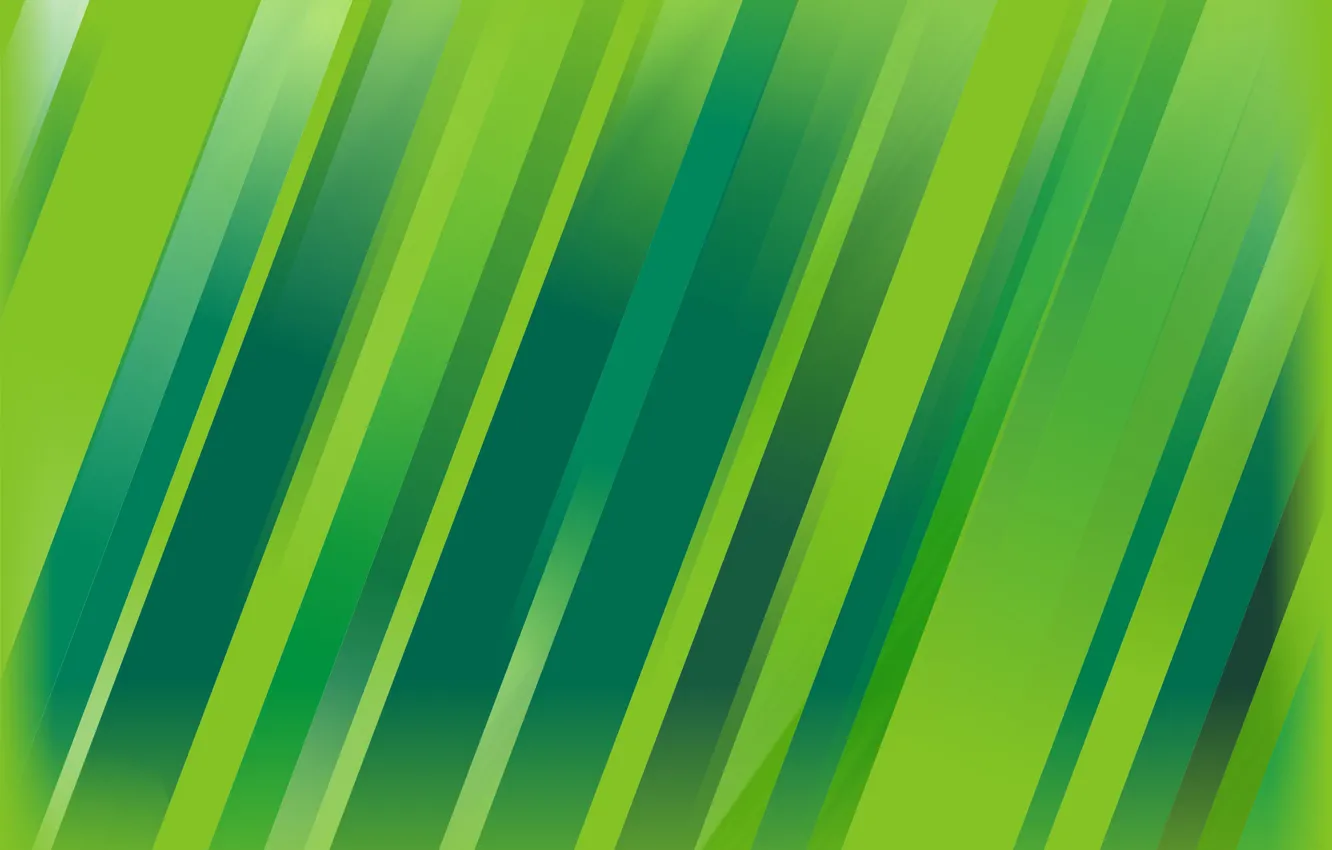 Photo wallpaper strip, texture, green, shades of green