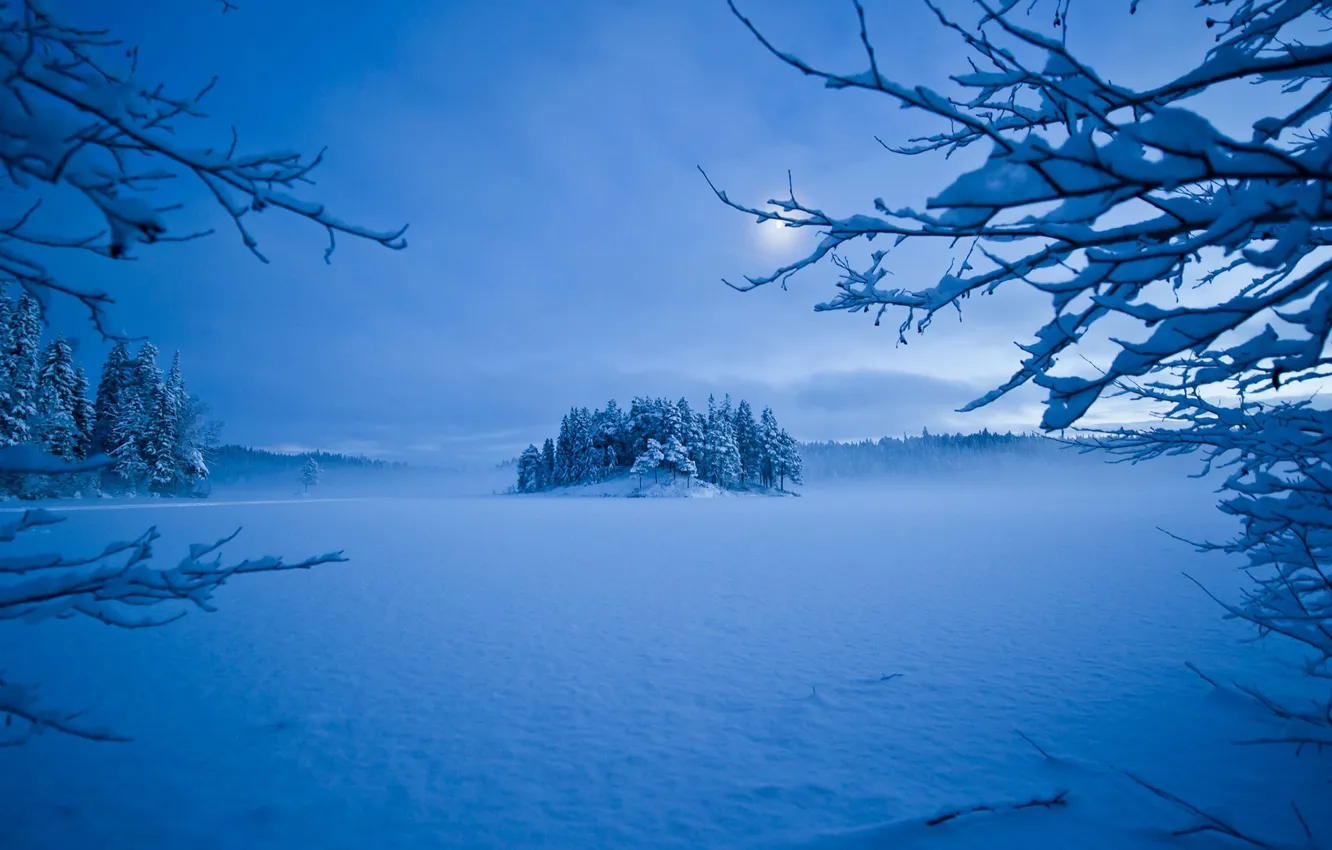 Photo wallpaper winter, snow, trees, the moon, the evening, frost
