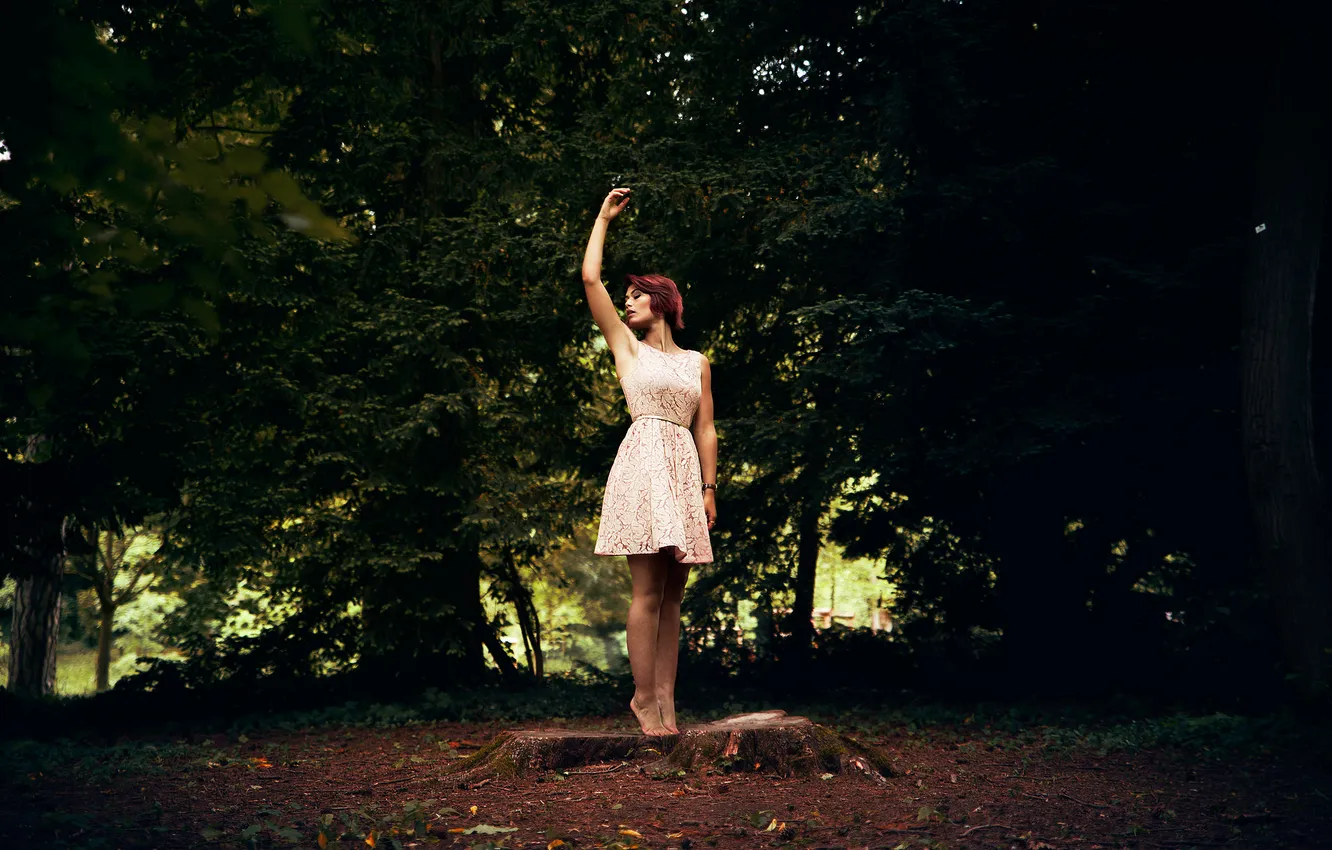Photo wallpaper forest, girl, movement, stump