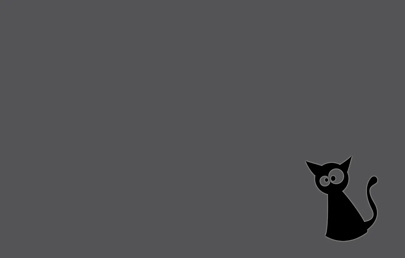 Photo wallpaper cat, grey background, black cat