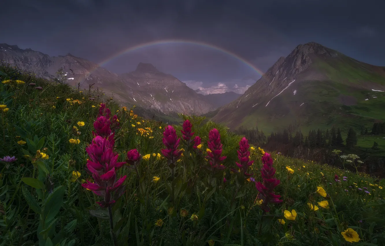 Photo wallpaper summer, flowers, mountains, rainbow, spring, after the rain